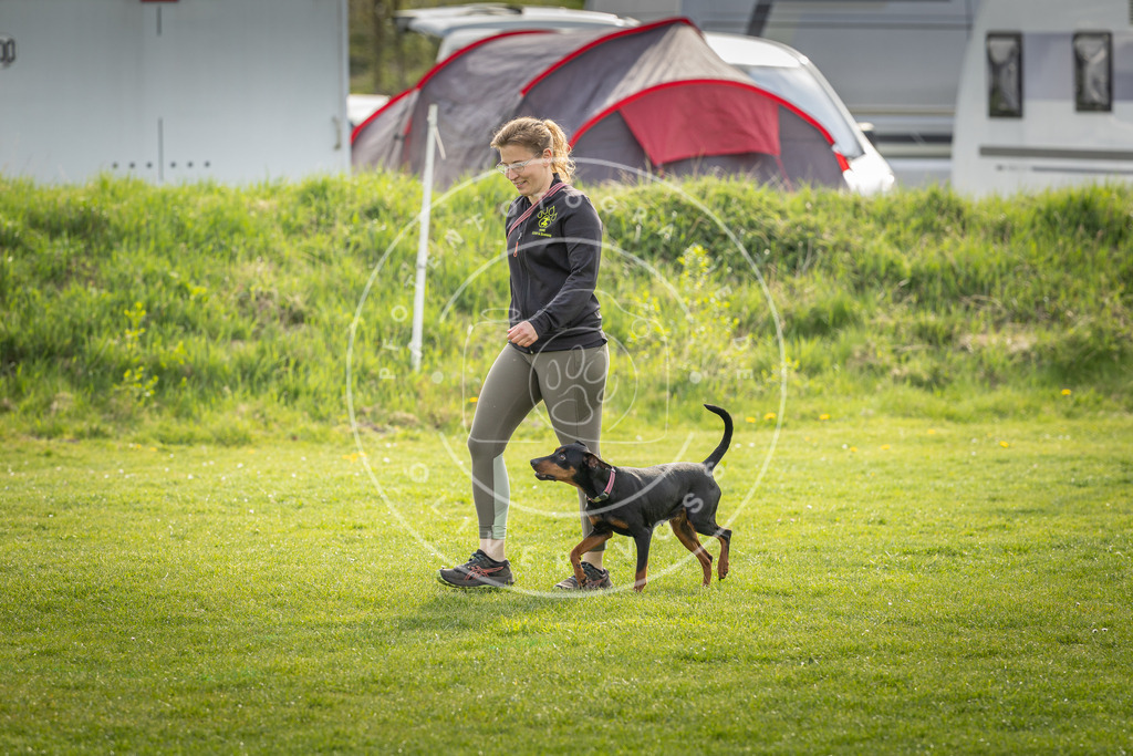 Pfotenfotografie_DV3A4998 | Hundefotografie, Tierfotograf, Pfotenfotografie, Fotoshooting Hund, Hunde Portrait, Hundesport, Hundeportraits, Heideshooting, Hunde, Sportfotograf, Hundefotograf, Turnierhundsport, THS,  - Realisiert mit Pictrs.com