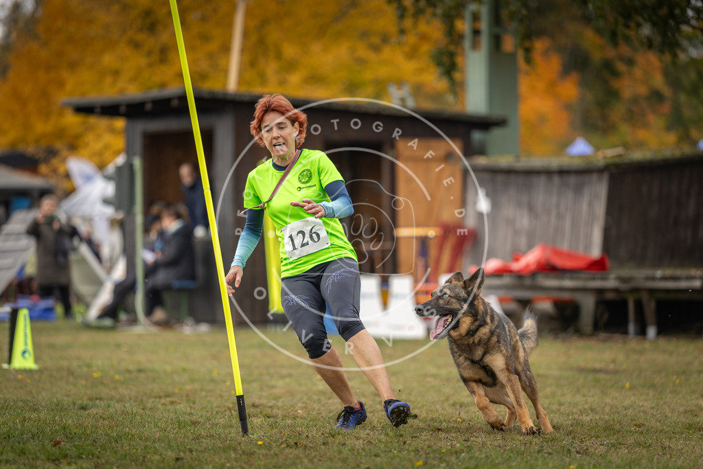 Pfotenfotografie_DV3A6716 | Hundefotografie, Tierfotograf, Pfotenfotografie, Fotoshooting Hund, Hunde Portrait, Hundesport, Hundeportraits, Heideshooting, Hunde, Sportfotograf, Hundefotograf, Turnierhundsport, THS,  - Realisiert mit Pictrs.com