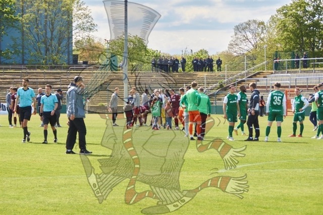 BFC Dynamo vs. BSG Chemie Leipzig  100 | mythos-online-redaktion