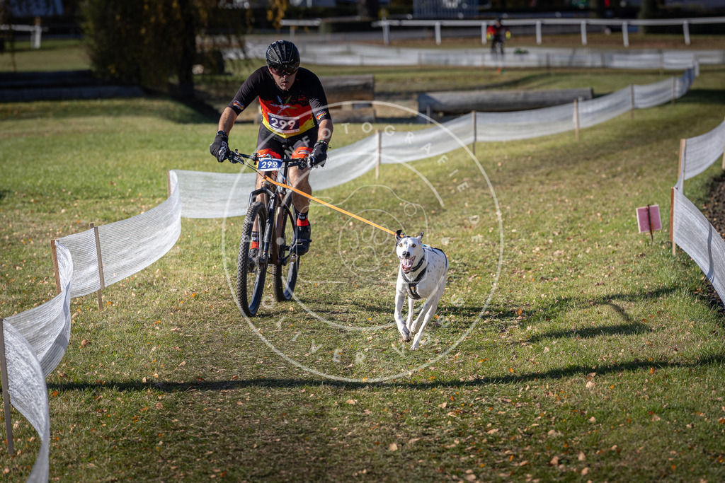 CaniXpix_DV3A6022 | Hundefotografie, Tierfotograf, Pfotenfotografie, Fotoshooting Hund, Hunde Portrait, Hundesport, Hundeportraits, Heideshooting, Hunde, Sportfotograf, Hundefotograf, Turnierhundsport, THS,  - Realisiert mit Pictrs.com