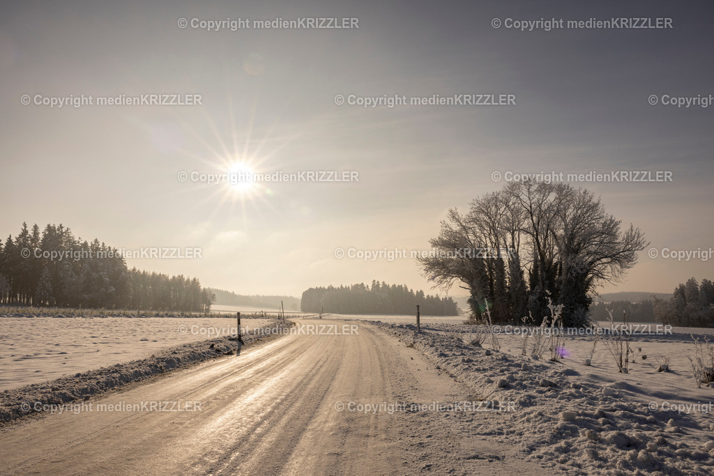 _J3A9661 | medienkrizzler - Realisiert mit Pictrs.com