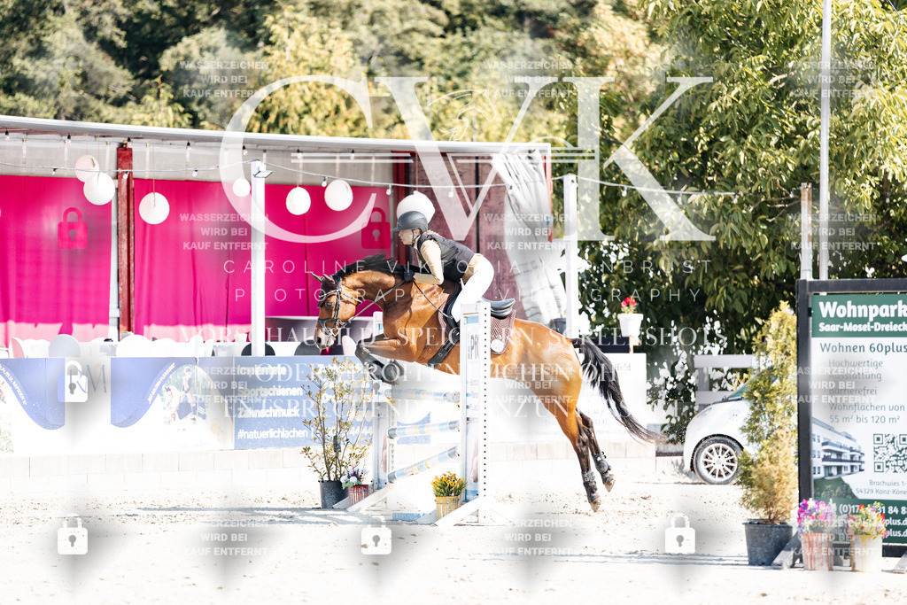 CK902377 | Turnierfotografie Pferdefotografie Trier Rheinland-Pfalz Pferdesport Reitsport Tierfotografie Sportfotografie Pferdevideo Pferdevideografie Equestrianvideography equestrianphotography  - Realisiert mit Pictrs.com