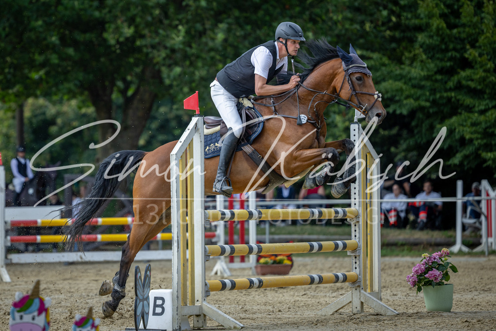 20260704-_3LI1621 | Tierfotografie Pferde, Hunde, Katzen, Haustiere.
Turnierfotografie Reitturniere, Reiten, Springreiten, Dressur in Hanau, dem Main-Kinzig-Kreis und dem Rhein-Main- Gebiet um Frankfurt