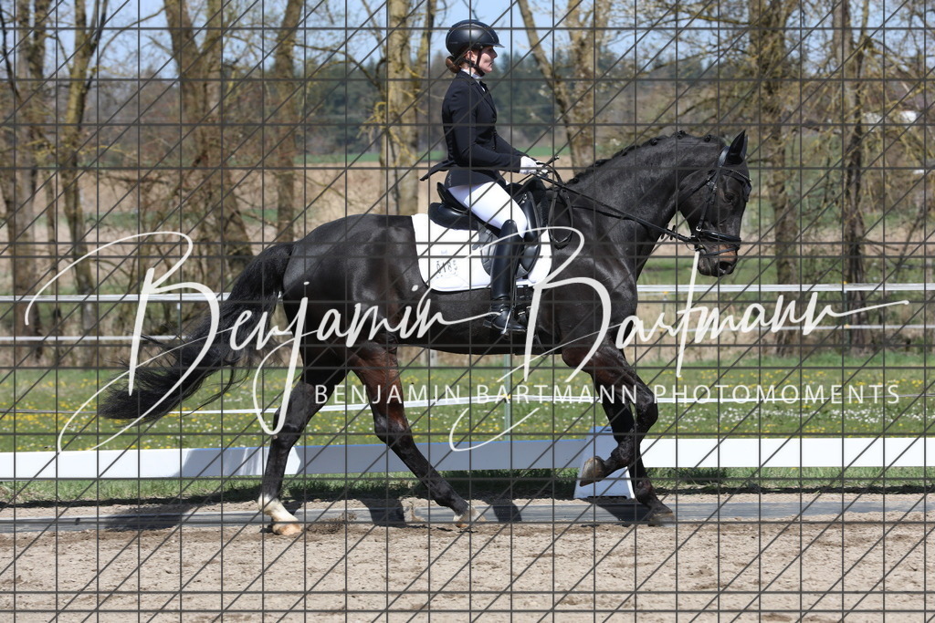 AZ2A4978 | Benjamin Bartmann Photomoments