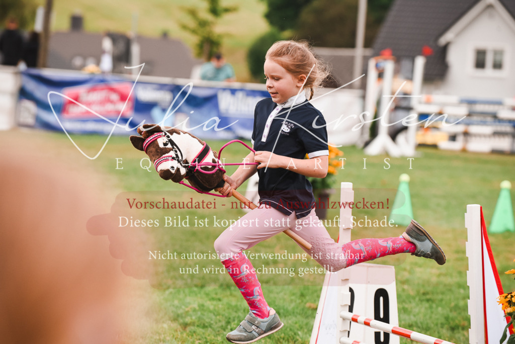 DSC_4523 | Pferde- und Turnierfotografie in Westsachsen. Pferdeportraits, Auftragszeichnungen und intuitive Kunst.