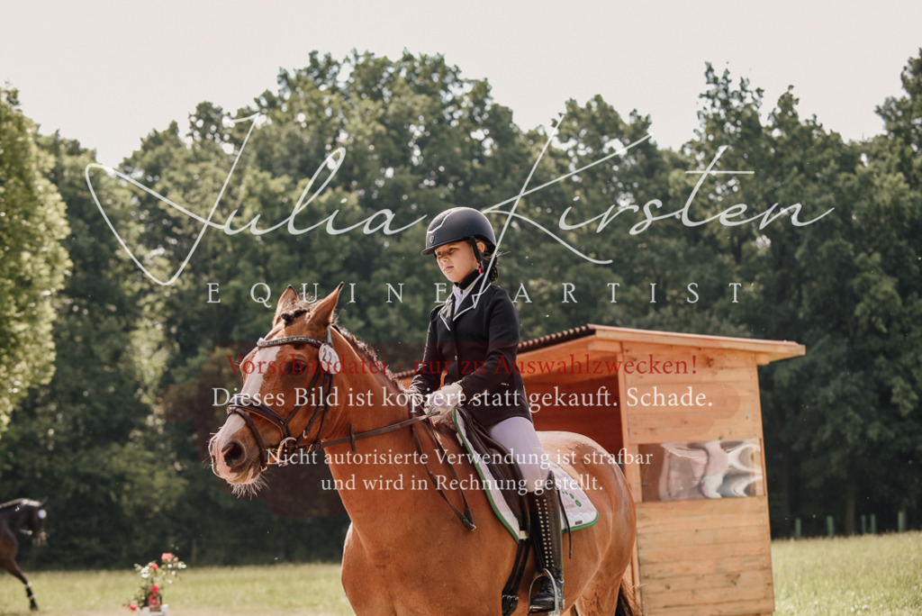 DSC_9169 | Pferde- und Turnierfotografie in Westsachsen. Pferdeportraits, Auftragszeichnungen und intuitive Kunst.