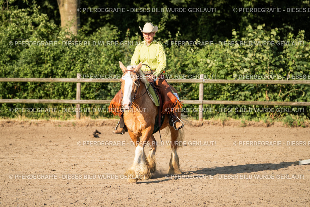 DSC05648 | Pferdegrafie