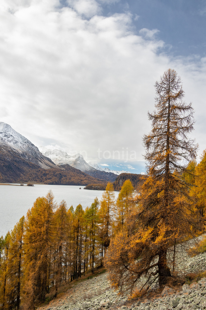 JB3A5695 | antonija-trupina - Realisiert mit Pictrs.com