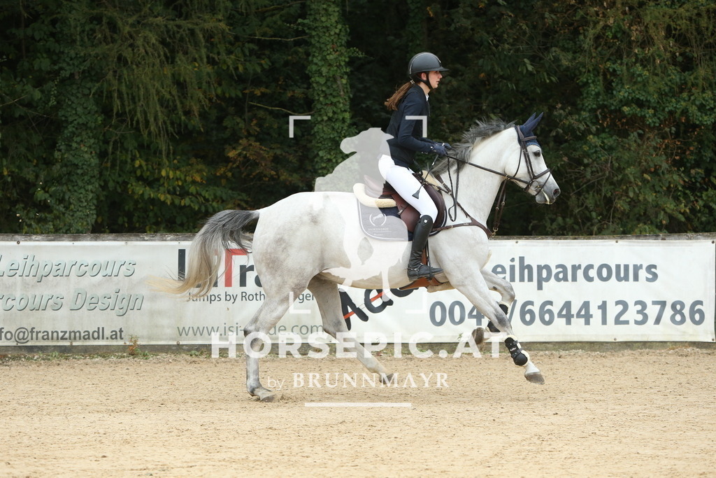 DL2Q5198 | Willkommen bei Brunnmayr - Design & Fotografie – Ihrem Spezialisten für Reitturniere und Pferdeveranstaltungen in Oberösterreich, Salzburg und Bayern! Seit über 17 Jahren sind wir leidenschaftlich dabei.