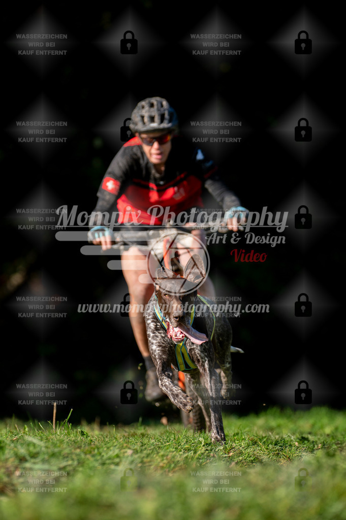TSB_2023_E7_Bike-8 | PayLife