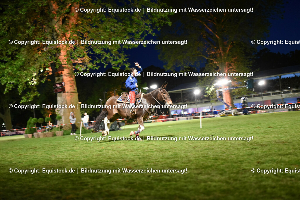 20230526_Pferdenacht_1352 | equistock