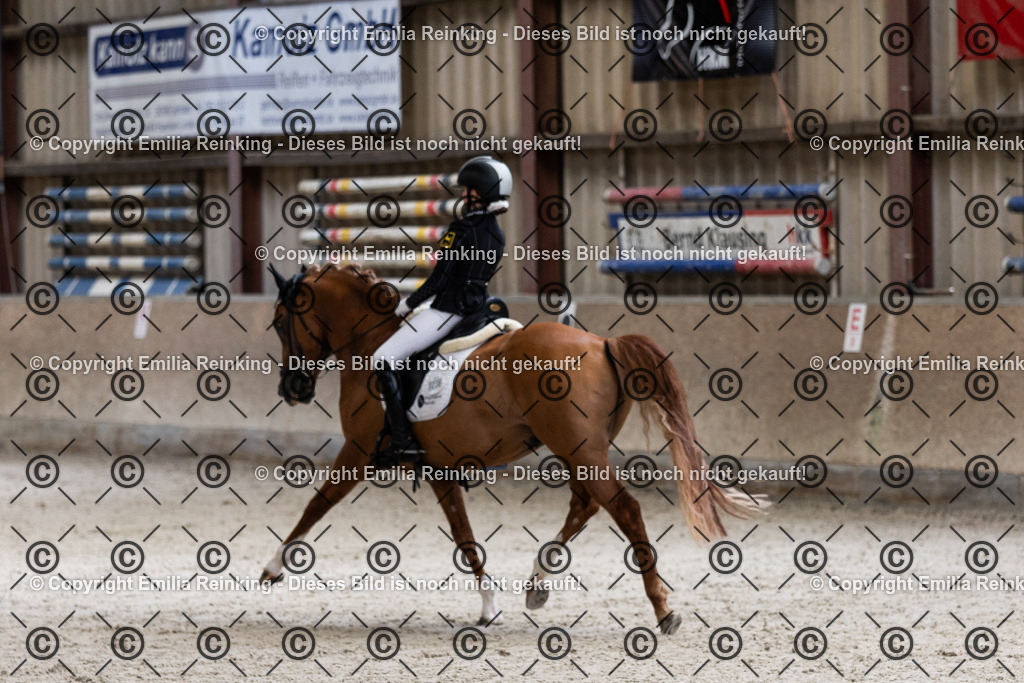 CL5A4056 | Emilia Reinking Fotografie - Realisiert mit Pictrs.com