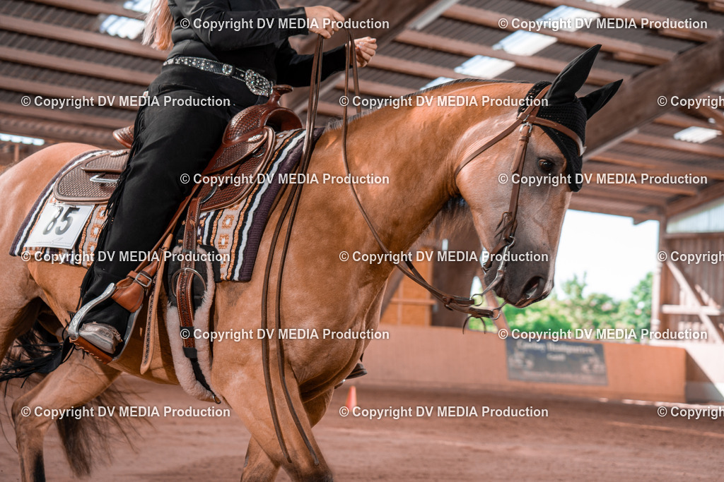 NE100220 | dv-media-shop - Realisiert mit Pictrs.com