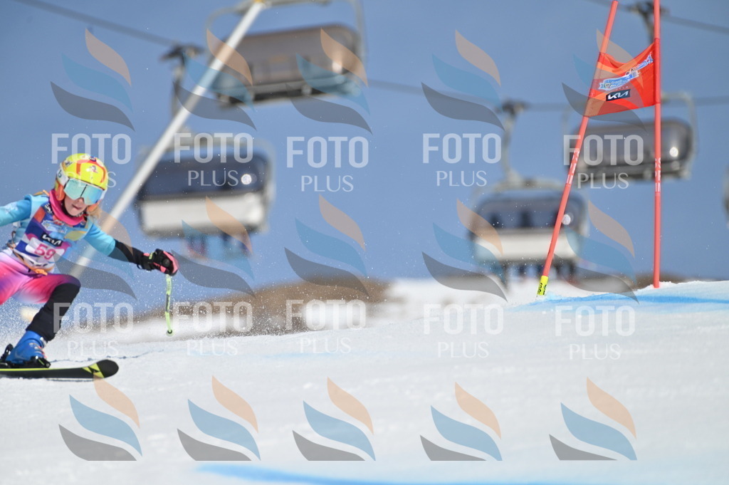 BGV_8703 | holidayphoto