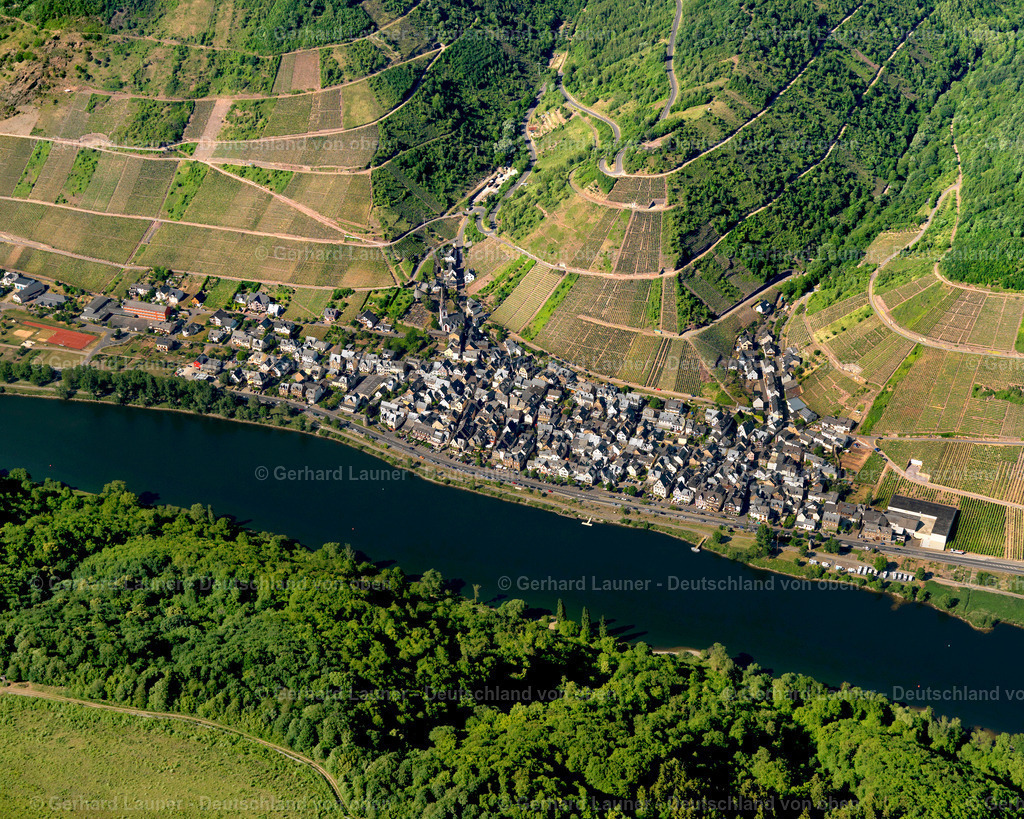 Ediger-3114348 | Ediger