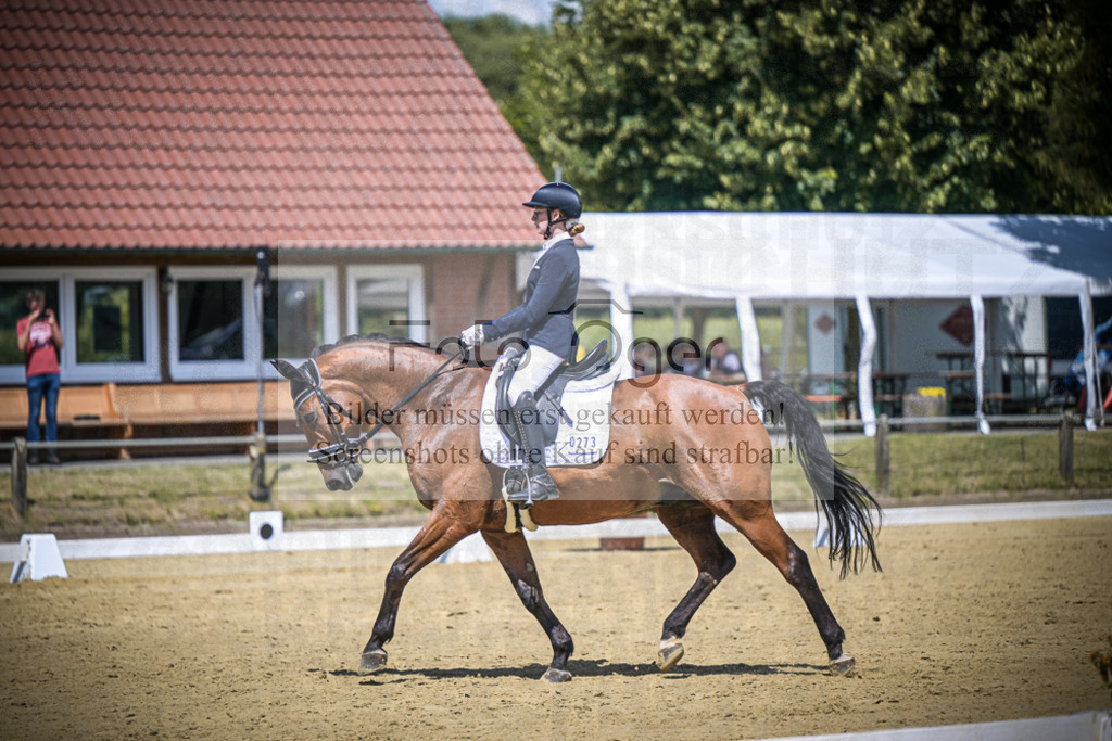 DOS_5312 | Entdecke hochwertige Reitturnierfotos von Foto Oger. Professionell, emotional und authentisch – jetzt Lieblingsmomente im Shop bestellen.Deutschlandweite Turnierfotografie. - Realisiert mit Pictrs.com