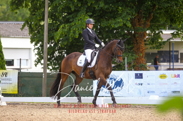 DKP40949 | Turniersportfotografie; Pferdefotografie; Dressurfotografie