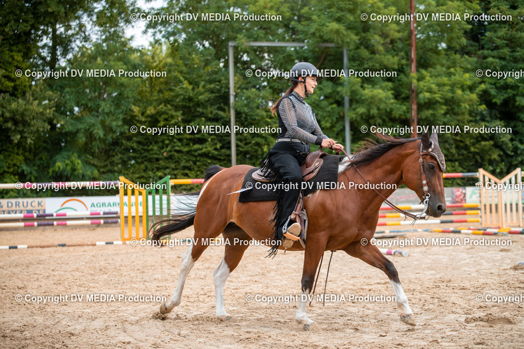 ZS2_7766 | dv-media-shop - Realisiert mit Pictrs.com