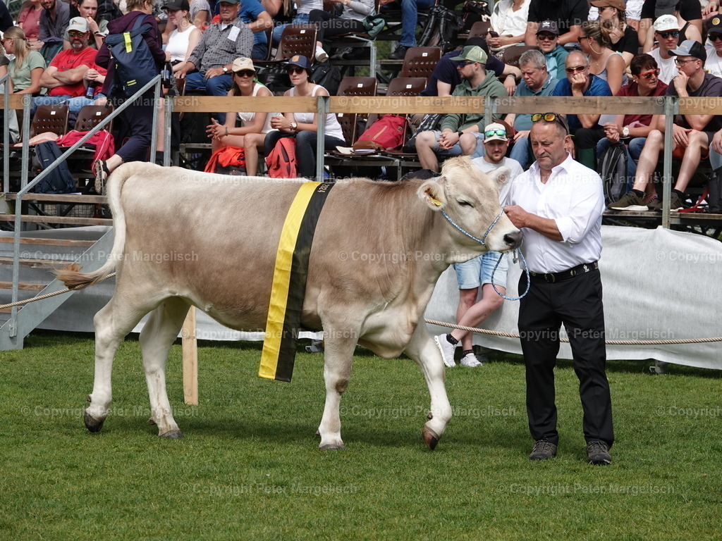 DSC07410 | Schwingen - Realisiert mit Pictrs.com