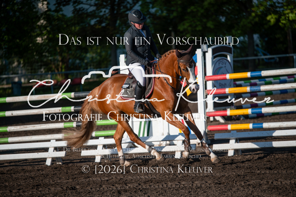 DSC_6828 | Christina-Kleuver