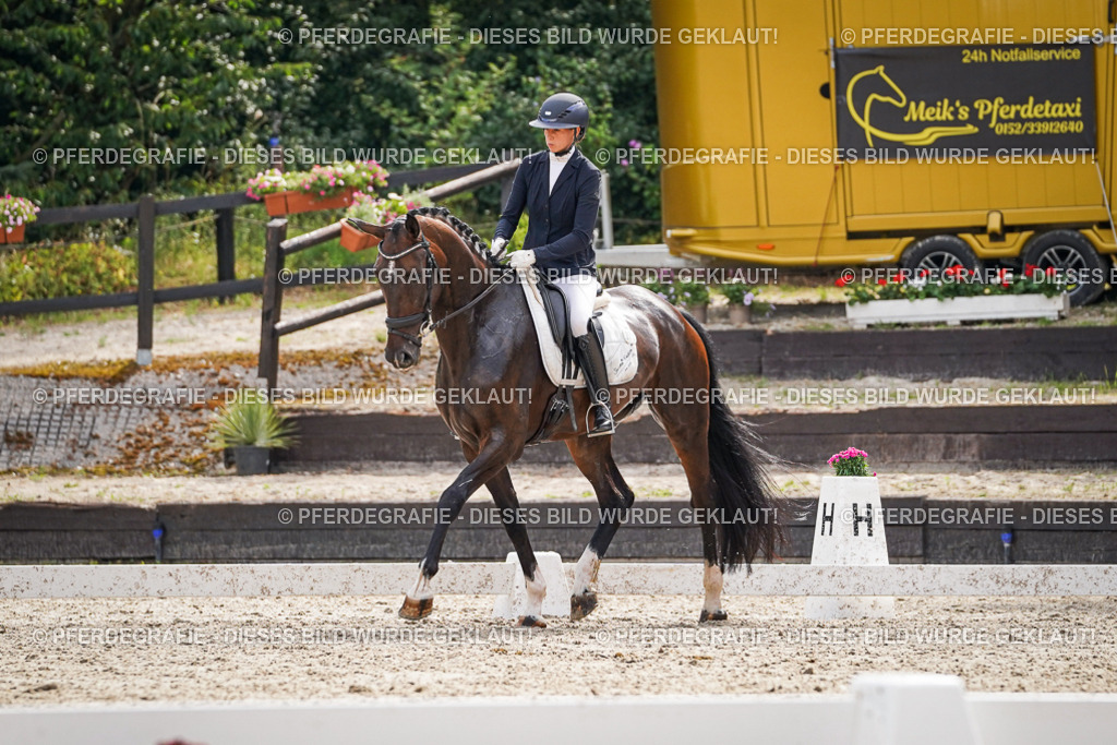 DSC07696 | Pferdegrafie