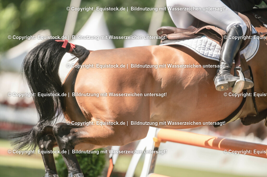 20230528_17_CSI4_Hess.Min.Präs_0029 | equistock