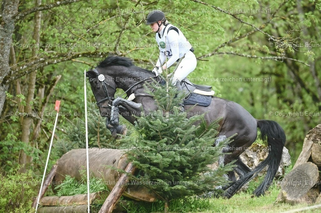 20230513_CCI2_Section2_Gelände_0248 | equistock