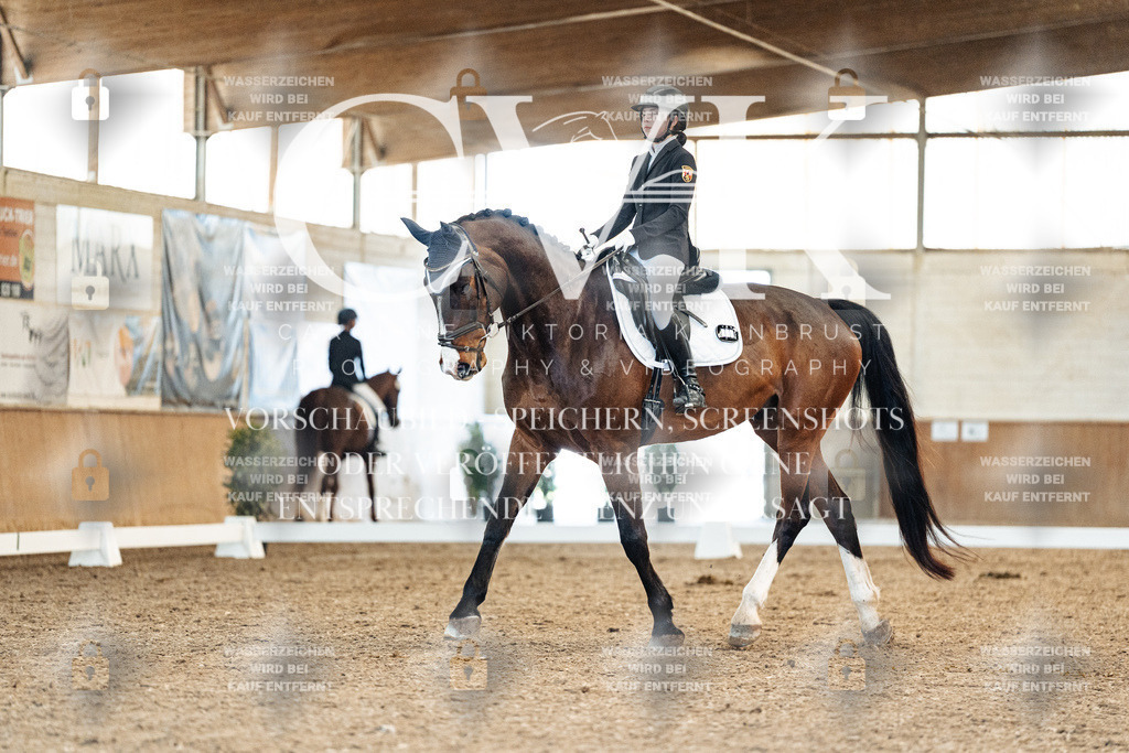 CK908496 | Turnierfotografie Pferdefotografie Trier Rheinland-Pfalz Pferdesport Reitsport Tierfotografie Sportfotografie Pferdevideo Pferdevideografie Equestrianvideography equestrianphotography  - Realisiert mit Pictrs.com