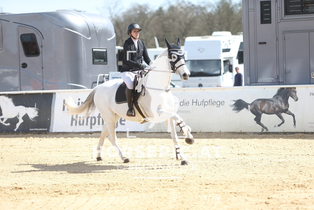 DL2Q4442 | Willkommen bei Brunnmayr - Design & Fotografie – Ihrem Spezialisten für Reitturniere und Pferdeveranstaltungen in Oberösterreich, Salzburg und Bayern! Seit über 17 Jahren sind wir leidenschaftlich dabei.