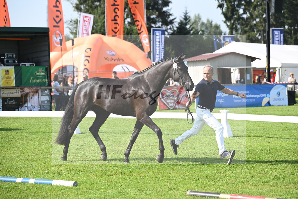 Kat-Nr. 12 Black Besinda H.S_1 | hf-fotografie - Realisiert mit Pictrs.com