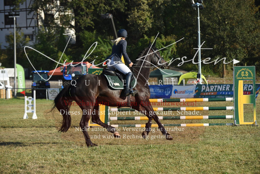 DSC_4951 | Pferde- und Turnierfotografie in Westsachsen. Pferdeportraits, Auftragszeichnungen und intuitive Kunst.