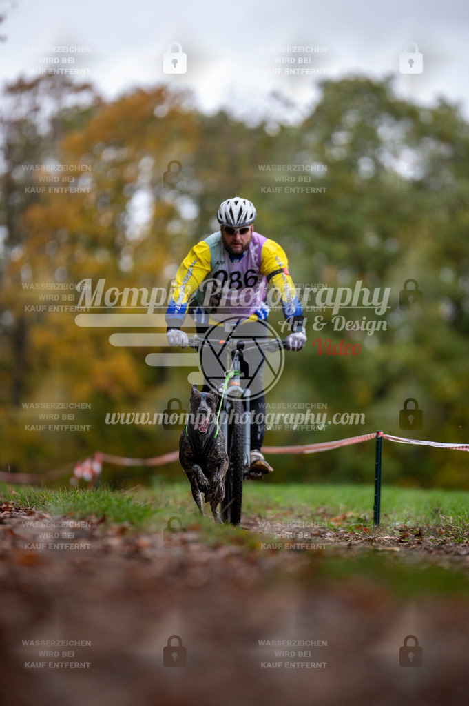 DBT_DAKM_SA_4_11_2023_Bike-53 | PayLife
