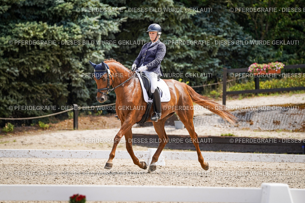 DSC00475 | Pferdegrafie