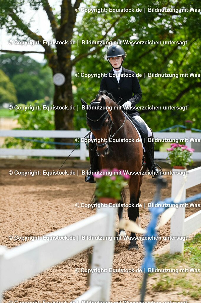 20230716_03_Dressurprfg. Kl.L - Tr._0457 | equistock
