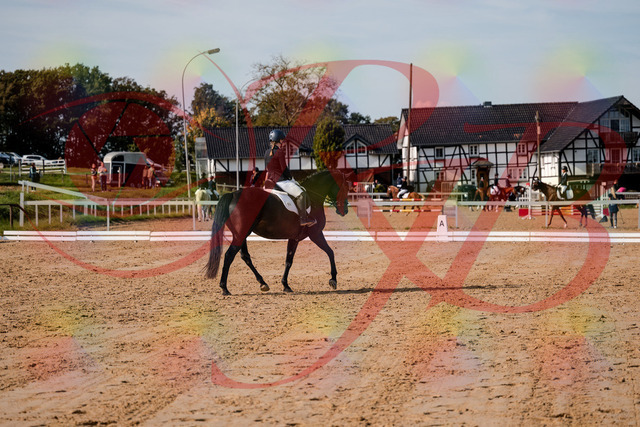 2026_10_03_Siefer-Hof_121431_Z63_39696225 | Professionelle Reitsport-, Turnier- und Eventfotografie von Robert Broda. Galerien mit ausgewählten und bearbeiteten Bildern direkt online ansehen und bestellen.