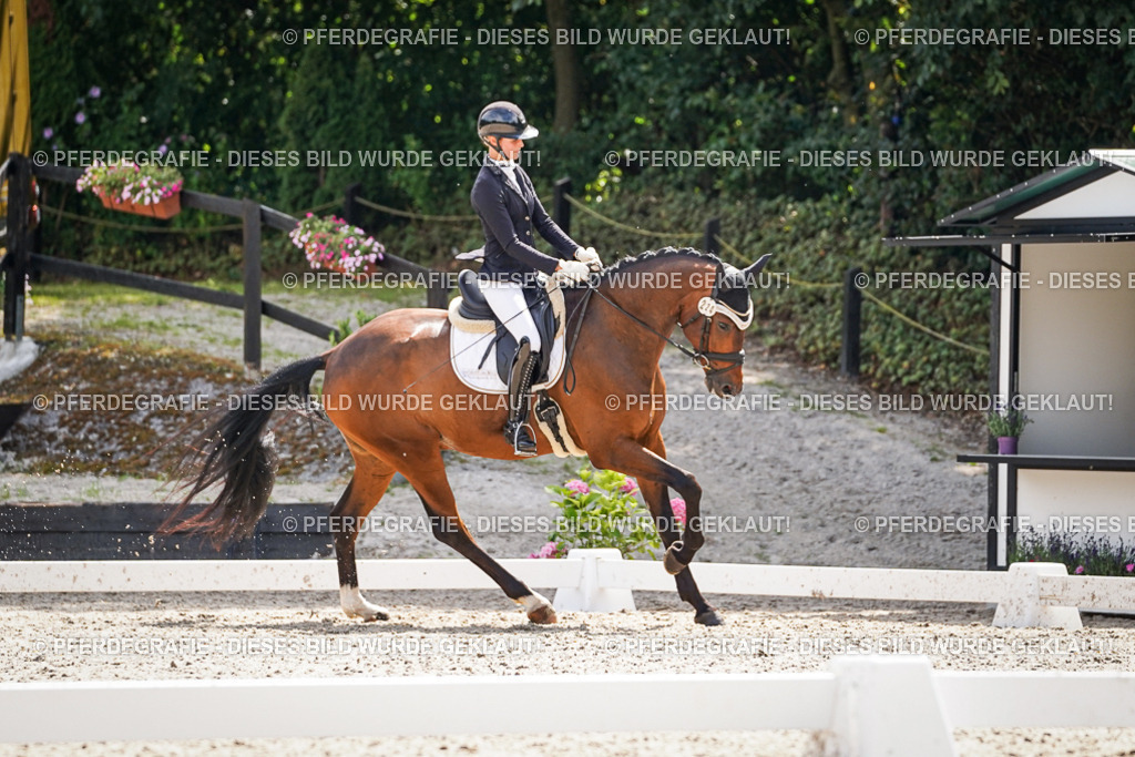 DSC09126 | Pferdegrafie