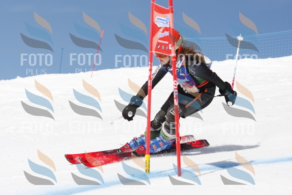 _W1G1871 | holidayphoto