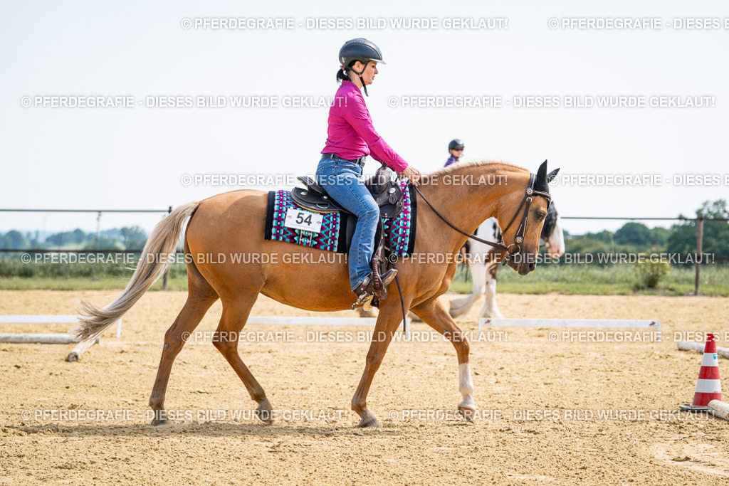 DSC00327 | Pferdegrafie