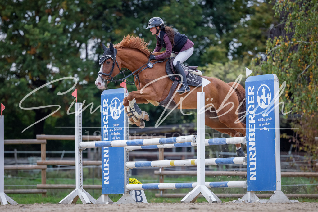 20251012-_3LI5218 | Tierfotografie Pferde, Hunde, Katzen, Haustiere.
Turnierfotografie Reitturniere, Reiten, Springreiten, Dressur in Hanau, dem Main-Kinzig-Kreis und dem Rhein-Main- Gebiet um Frankfurt