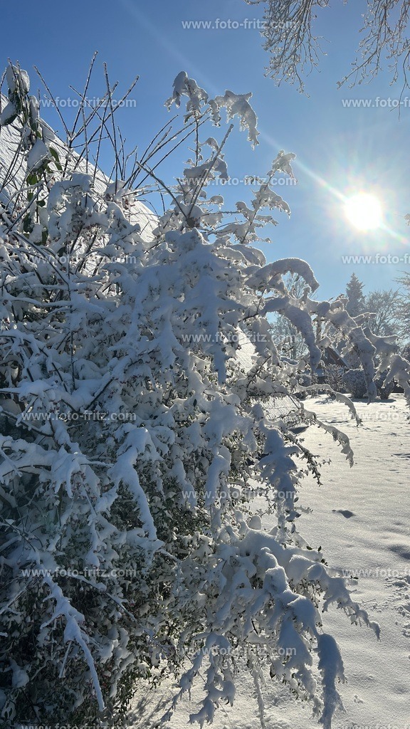 IMG_E6763 | www.foto-fritz.com - Realisiert mit Pictrs.com