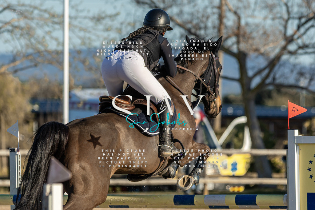 IMG_2413 | s-jay-photography - Realisiert mit Pictrs.com