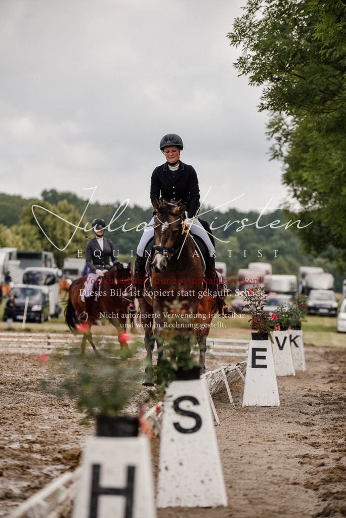 DSC_9386 | Pferde- und Turnierfotografie in Westsachsen. Pferdeportraits, Auftragszeichnungen und intuitive Kunst.