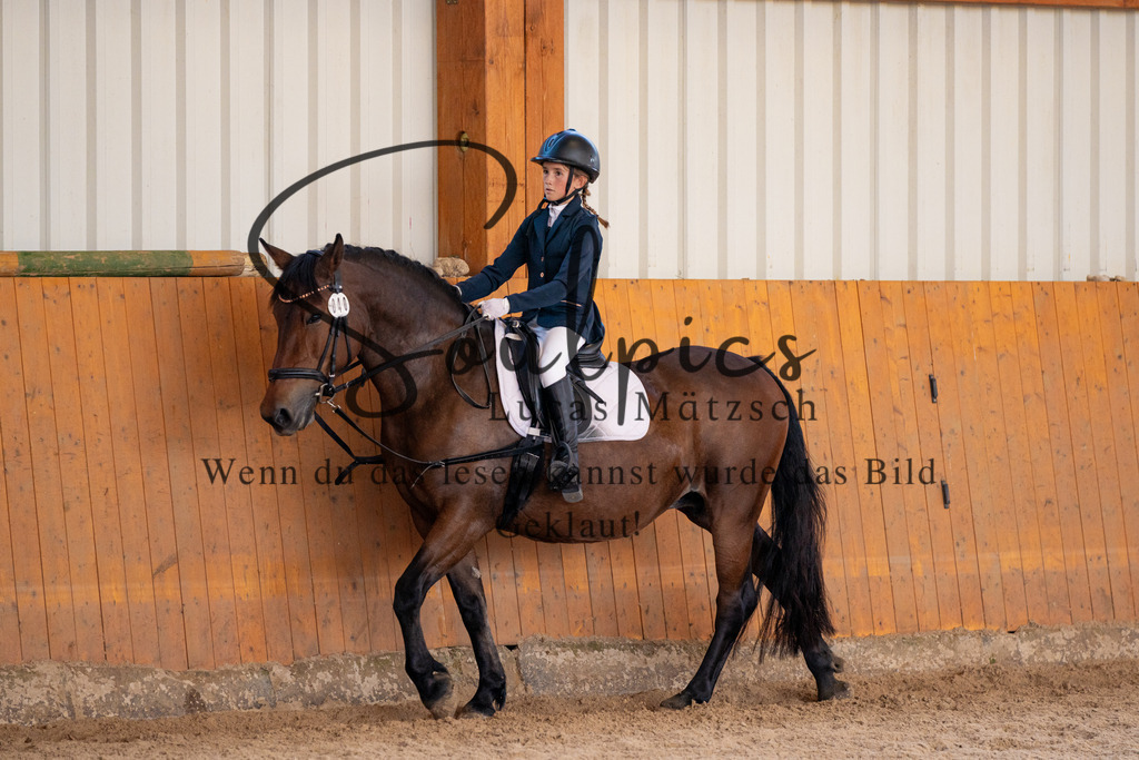 A7V02137 | Turnier/Reitfotograf