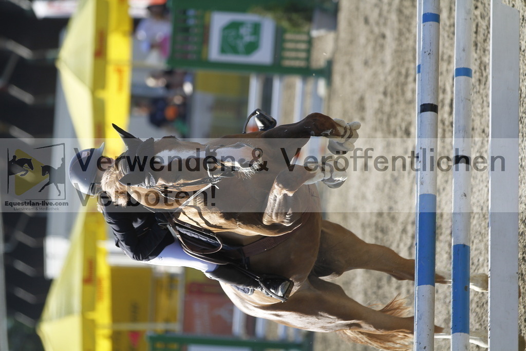 _MG_4270 | equestrian-live-com