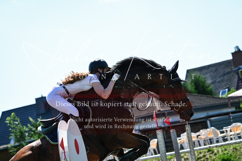 DSC_1690 | Pferde- und Turnierfotografie in Westsachsen. Pferdeportraits, Auftragszeichnungen und intuitive Kunst.