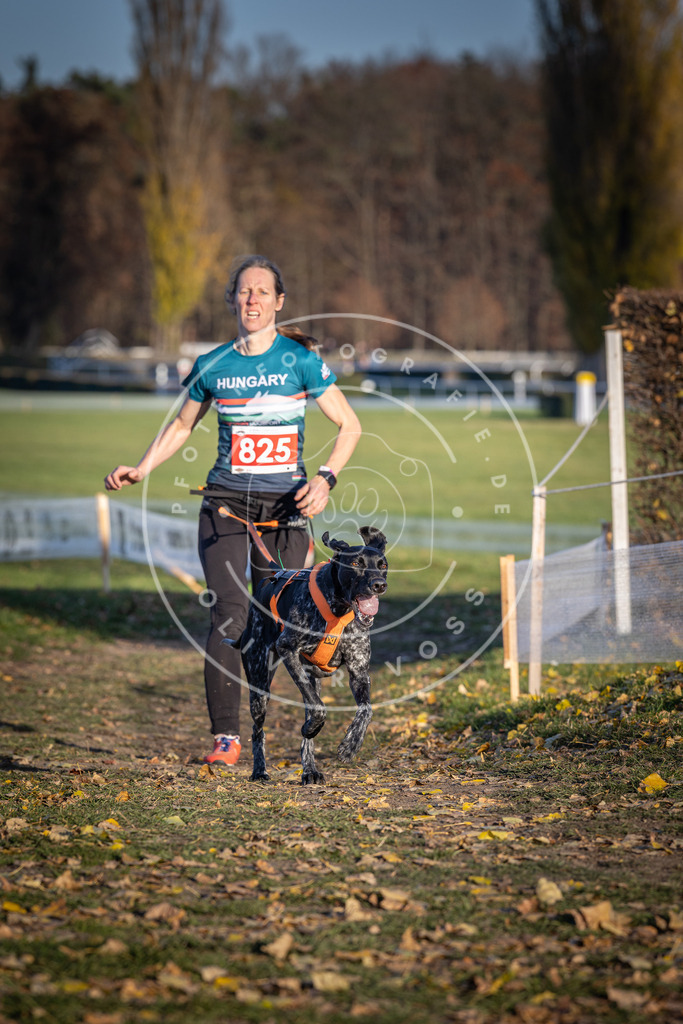 CaniXpix_DV3A3334 | Hundefotografie, Tierfotograf, Pfotenfotografie, Fotoshooting Hund, Hunde Portrait, Hundesport, Hundeportraits, Heideshooting, Hunde, Sportfotograf, Hundefotograf, Turnierhundsport, THS,  - Realisiert mit Pictrs.com