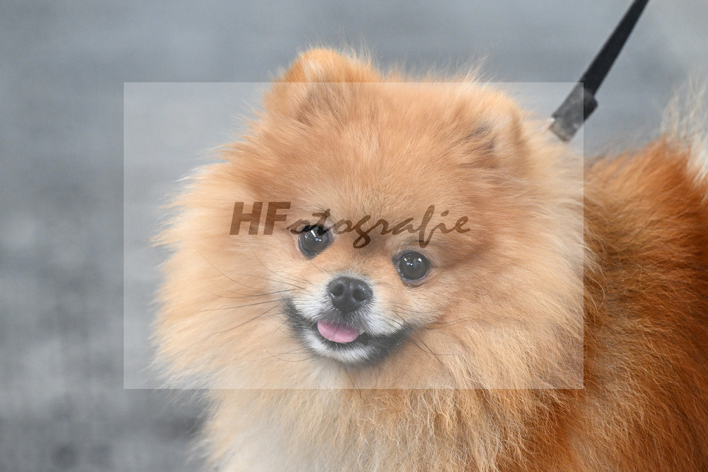 Impressionen_5251528 | hf-fotografie - Realisiert mit Pictrs.com