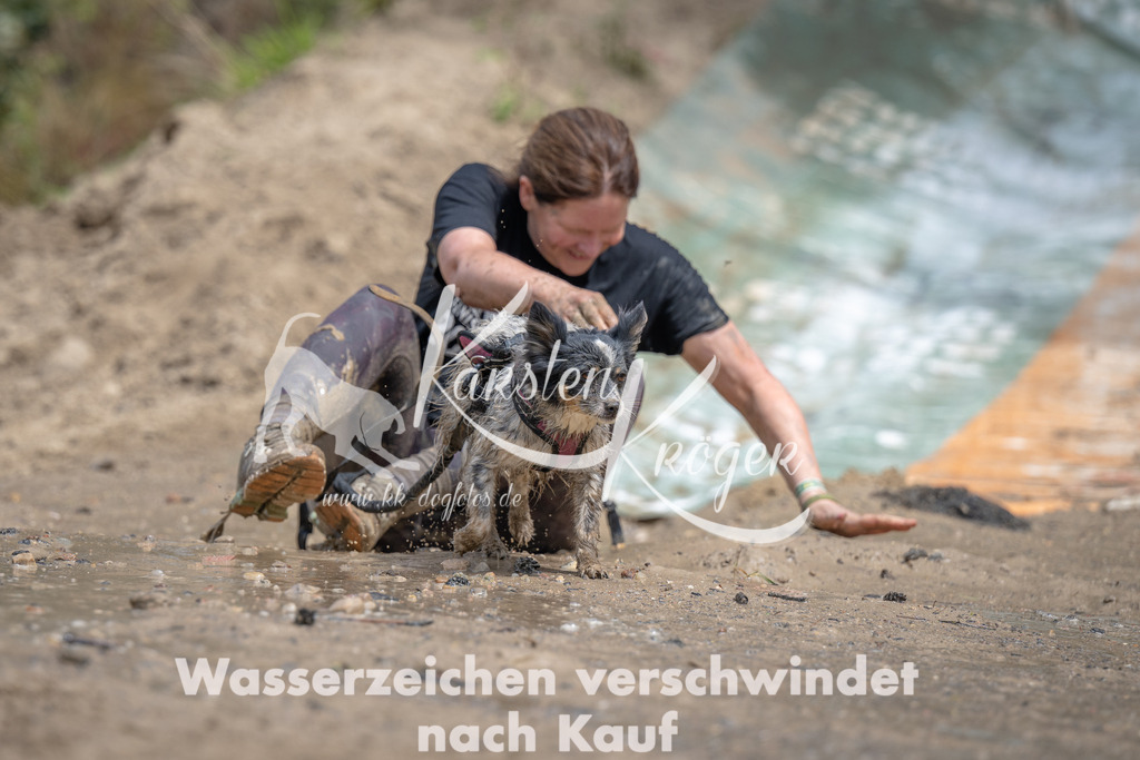 1257_ZZ94995 | kk-dogfotos