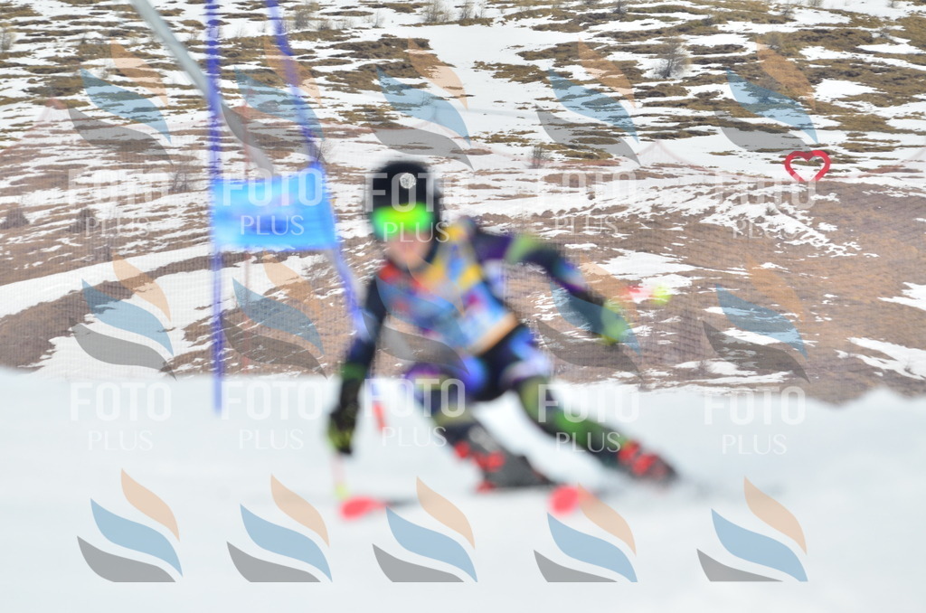 _ELE2634 | holidayphoto