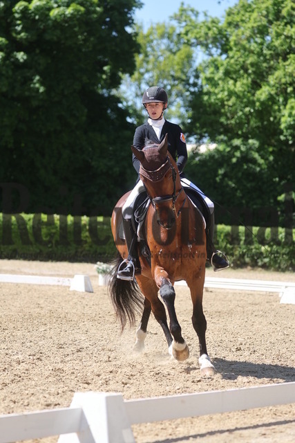 Böblingen_2025_Prfg.Nr.08_Dressurprüfung_Kl.M_Nürnberger Burgpokal_Zoe Wollmann_Luiz Barroso (10) | Alle Fotos der Reiterjournal Fotografin Doris Matthaes im Reiterjournal Online-Fotoshop. - Realisiert mit Pictrs.com